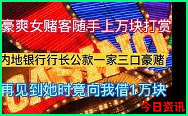 暑假带娃去哪里旅游不热又好玩